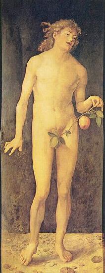 Albrecht Durer Adam